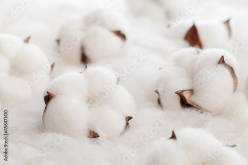white cotton flowers on cotton fabric. photo