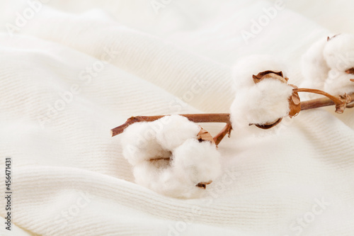 close up of cotton branch on white cotton fabric.