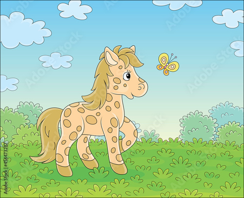 Spotted cute little pony pl...