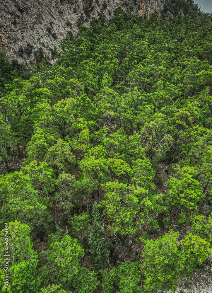 mountain gorge in Turkey in the Kemer region mountain gorge in Turkey in the Kemer region