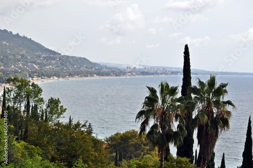 a flock of sheep in the mountains