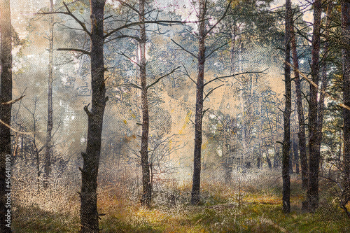 Morning fog in a pine forest. The first rays of sunlight illuminate a mysterious forest with tall trees. Digital watercolor painting
