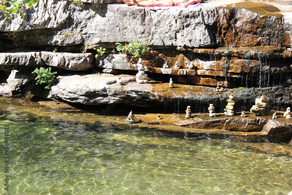 Corse forêt Aitone 2