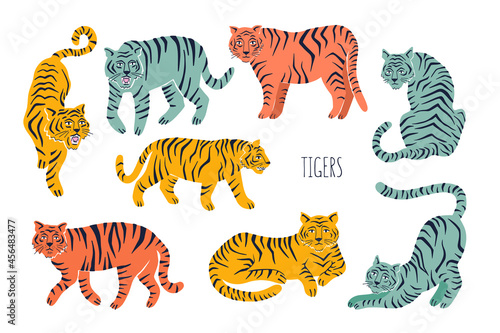 Set with tigers in different poses. Hand drawn vector illustration