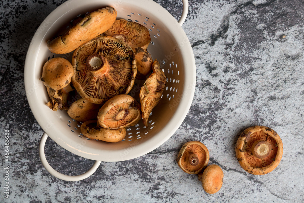 Fototapeta premium Vintage strainer bowl with a bunch of chanterelle mushrooms from the forest, on a grungy dark concrete background