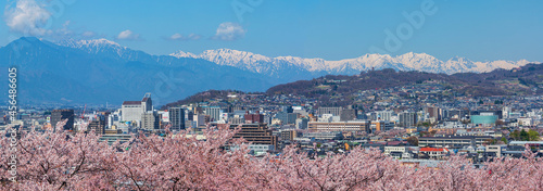 桜咲く弘法山古墳