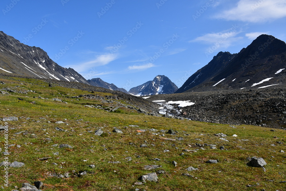 Fototapeta premium alpine meadow in the mountains