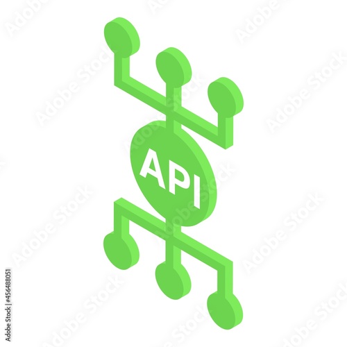 Api scheme icon isometric vector. Web code. Integration software