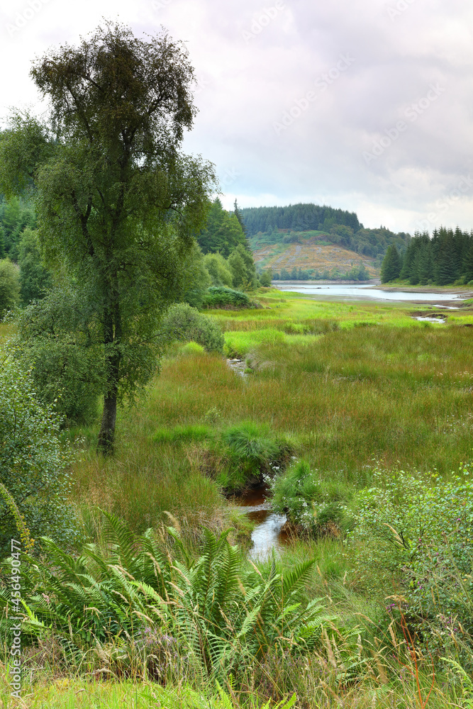 Fototapeta premium Loch Drunkie on the Three Lochs Forest Drive, Trossachs National Park, Scotland, UK.