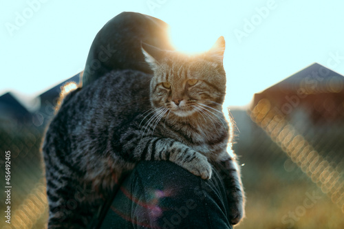 Photography man with cat