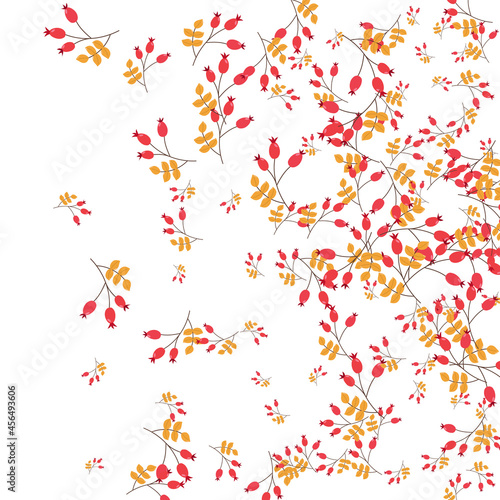 Burgundy Berries Background White Vector. Herb Realistic Template. Red Foliage Season. Organic Set. Leaves Gradation.
