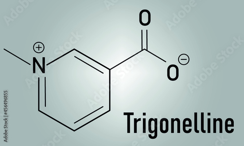 Trigonelline molecule skeletal formula. Metabolite of niacin (vitamin B3) but also found in a number of plants, including fenugreek. photo