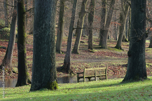 A bench at a creek in a local park