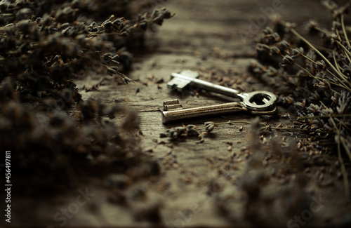 bunch of keys © Erika