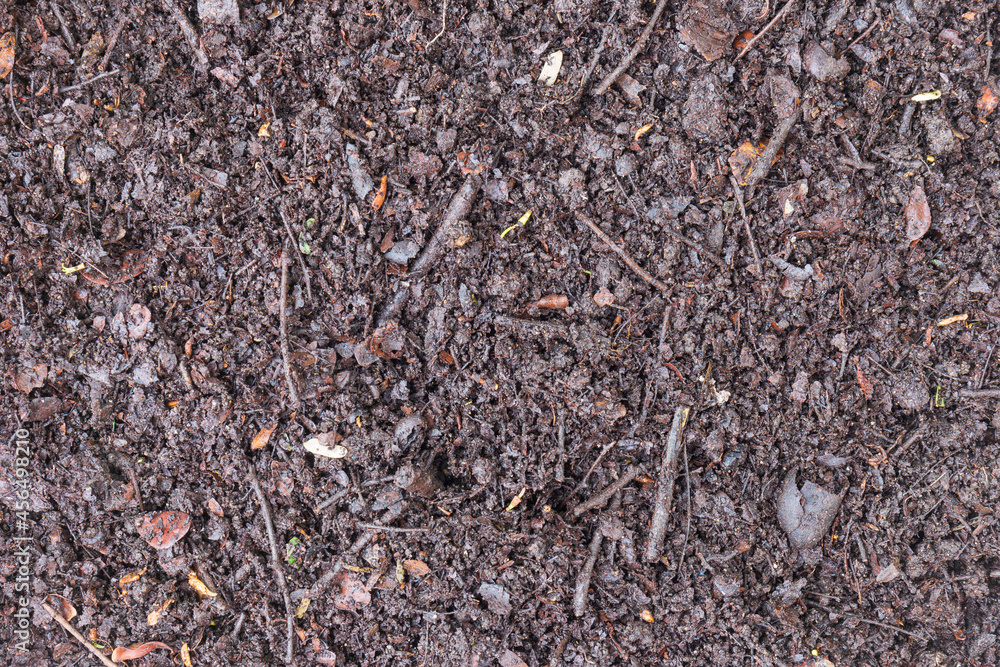 Fototapeta premium Leaves of the tamarind tree piled together for a long time to become the perfect natural fertiliser soil on the surface background.