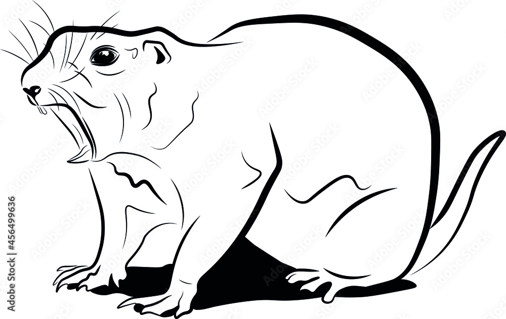 Obraz premium Prairie dog black ink vector illustration