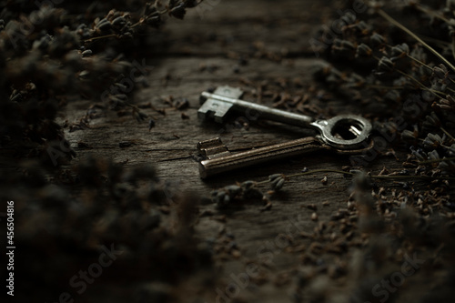 old key on wood © Erika