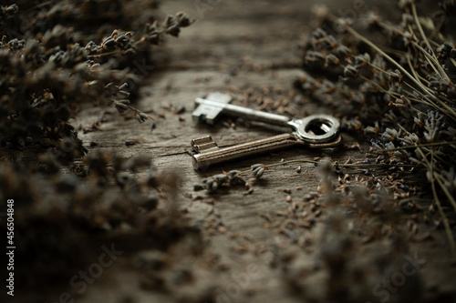 close up of key. Old keys.  © Erika