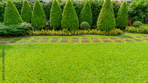 Green grass lawn in garden and stepping wallway flowering plant in back or front yard photo