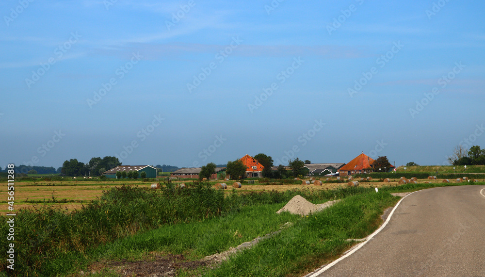 Obraz premium Dutch countryside landscape. Agricultural field, red roofs houses, dry grass, blue sky. Beautiful nature of the Netherlands. 