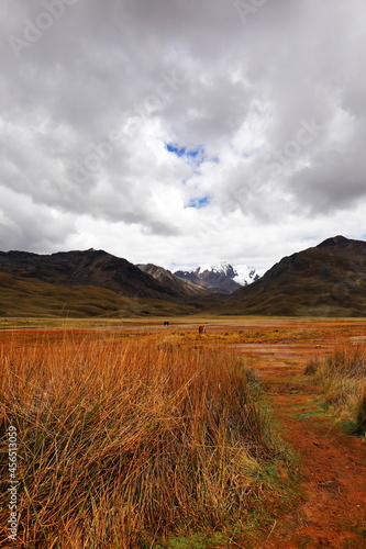 Pumapampa in Pastruri Glacier, Peru photo