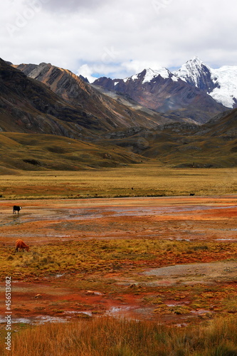 Pumapampa in Pastruri Glacier, Peru photo