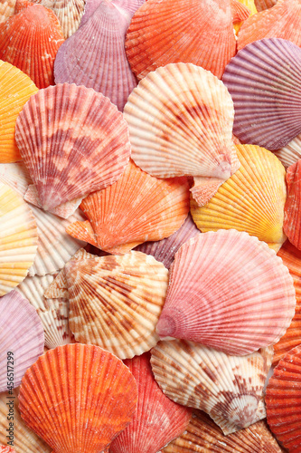 Top view of beautiful color seashells as background