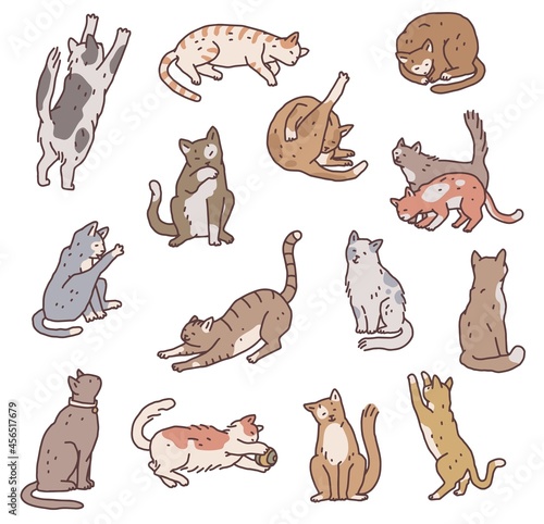 Set of cats in different poses. Not pedigreed pets outline doodle isolated vector illustration.