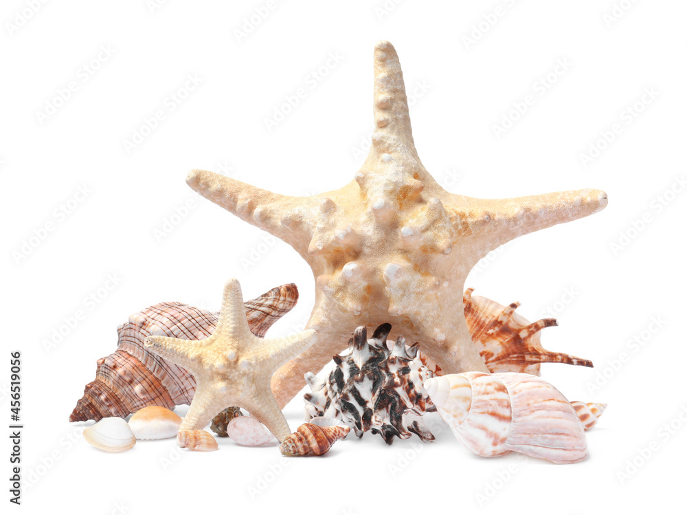 Beautiful sea stars and seashells on white background Beautiful sea stars and seashells on white background
