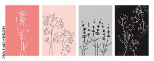 Flower minimal poster set. Hand drawn line wild flowers and leaves. Herbal and meadow plant collection, modern wall art floral decor. Vector botanical illustration pink, black, gray colors