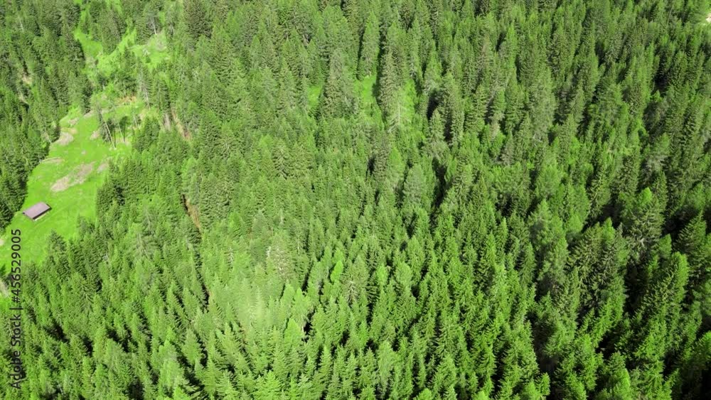 Aerial view of beautiful mountain trees in summer season Aerial view of beautiful mountain trees in summer season