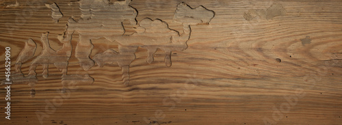 Szkodniki wyrzeźbiły drewniane chodniki 
Pests carved wood walkways .
