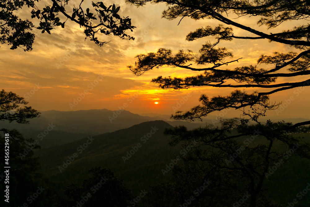 A silhouette view of tree and mountain in sunset time. A silhouette view of tree and mountain in sunset time.