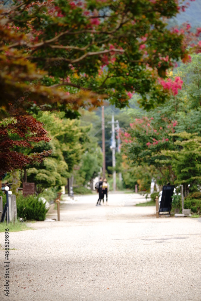 Fototapeta premium In Japan, we say Fall is the best season for arts and entertainment