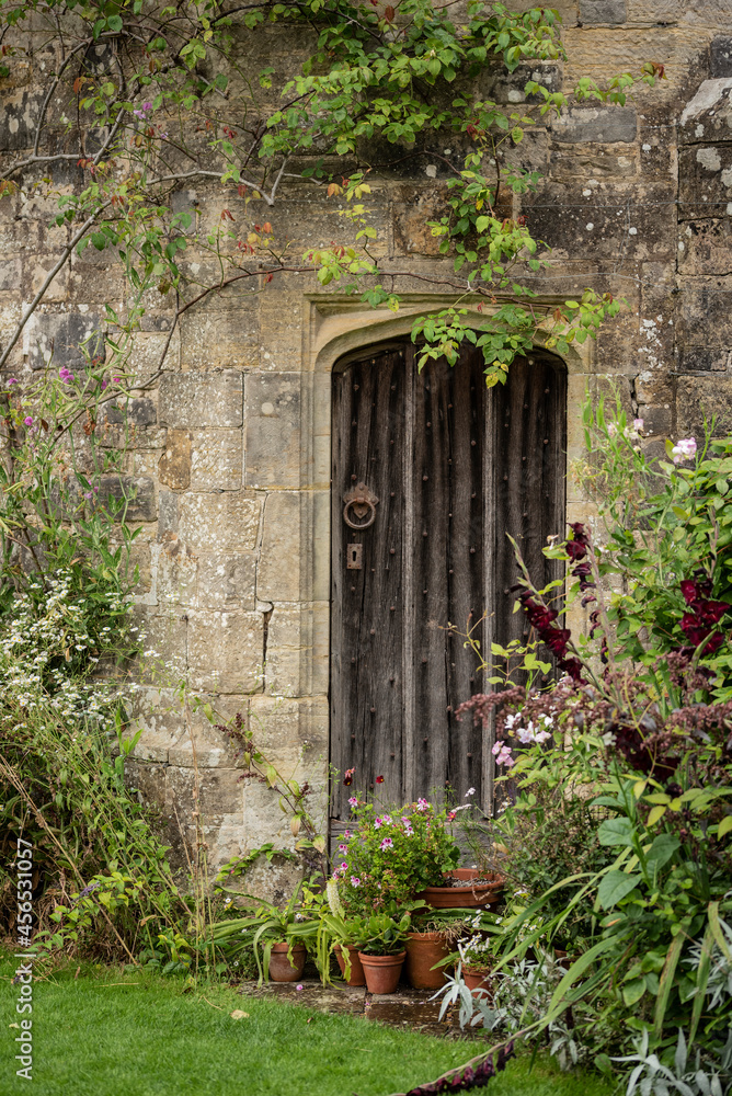 Beautiful landscape image of old historic medieval building detail being reclaimed by nature with plants growing over walls and windows in English country garden