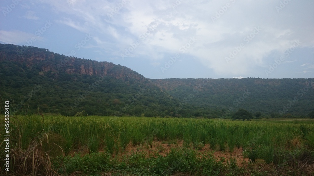 landscape in benin during a trip to the north