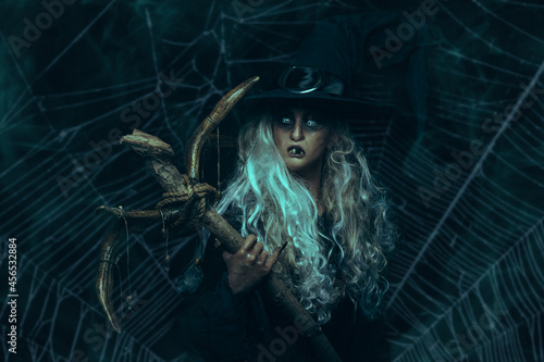 Quadro em tela old hag with staff