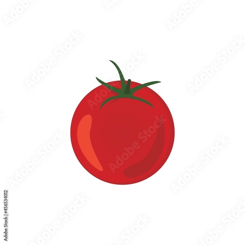 tomatoes. vegetables vector illustration