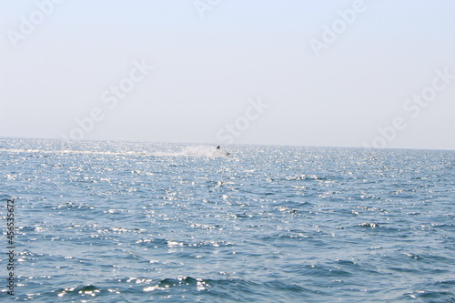 Man riding a water scooter on the sea away from the beach