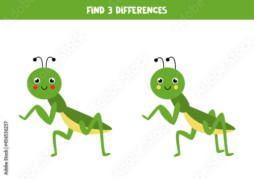 Find 3 differences between two cute praying mantises.