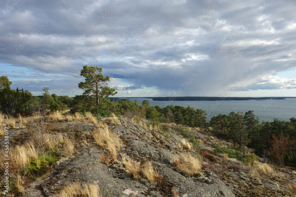 Protected forests