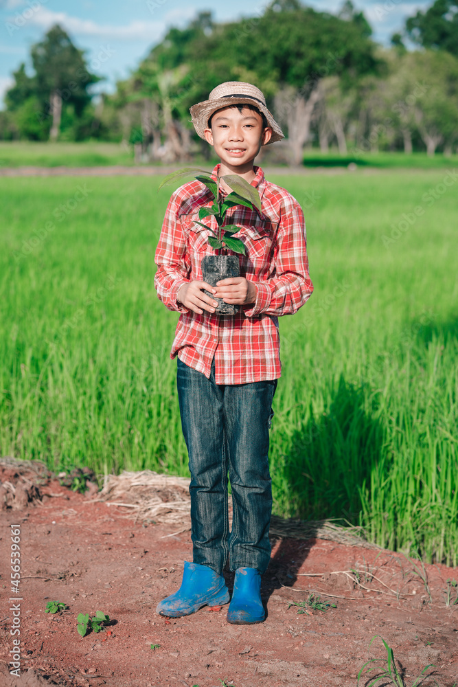 Kids holding seeding of mangoteen tree for planting on blurred green rice field and sky background