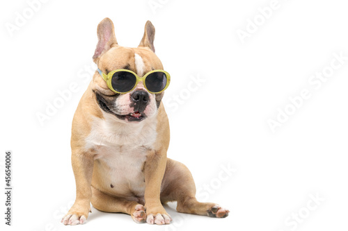 Fototapeta Naklejka Na Ścianę i Meble -  Cute french bulldog wear fashion sunglasses isolated on white