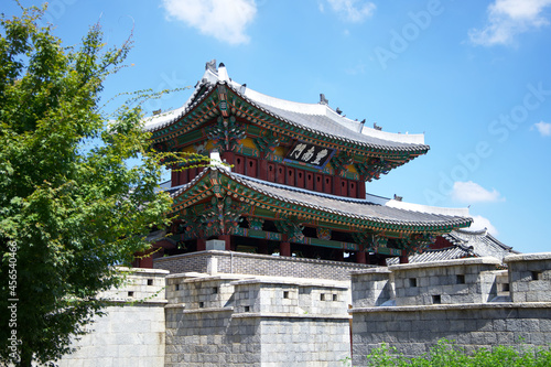 Pungnammun Gate, which consists of walls and pavilions made in a traditional way located in Jeonju, Korea, and a single tree