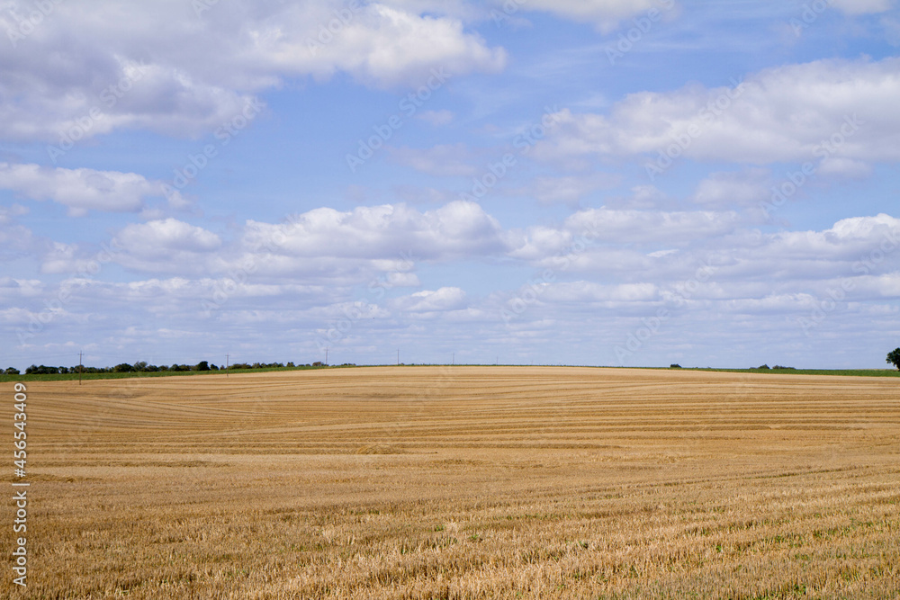 Fields after harvest under blue sky on a sunny august day