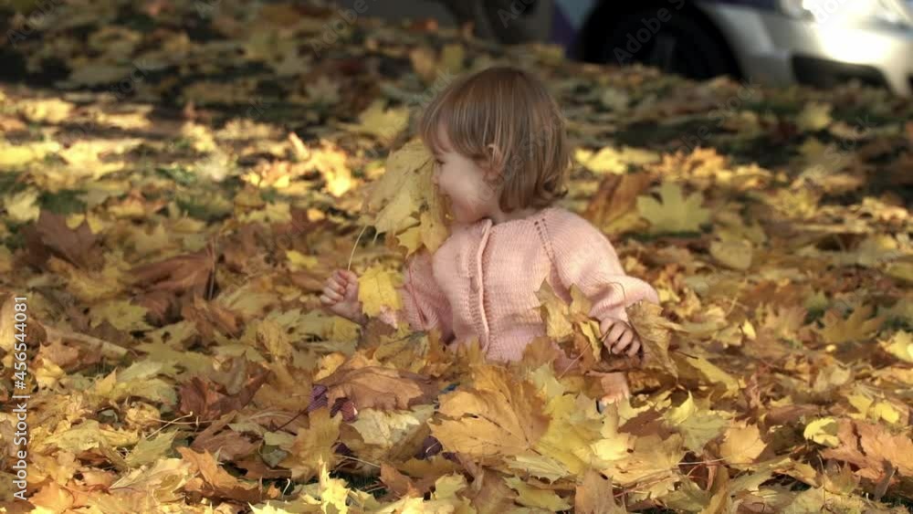 Little girl plays with yellow maple leaves in autumn park. Happy child smiles and throws leaves outdoors. Little girl plays with yellow maple leaves in autumn park. Happy child smiles and throws leaves outdoors.