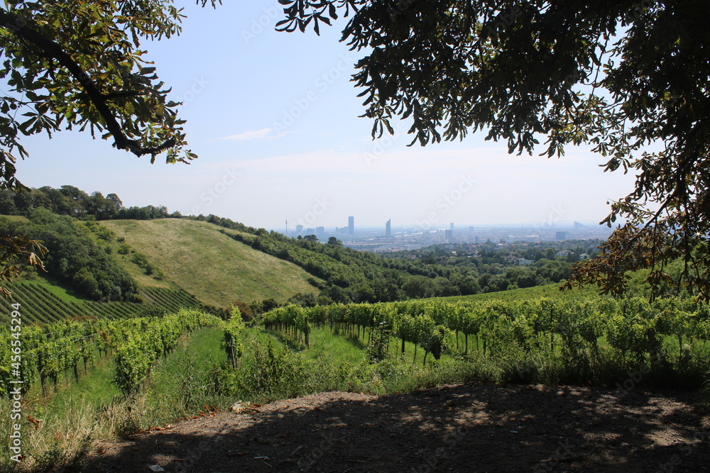 most beautiful view on the vienna cityscape most beautiful view on the vienna cityscape