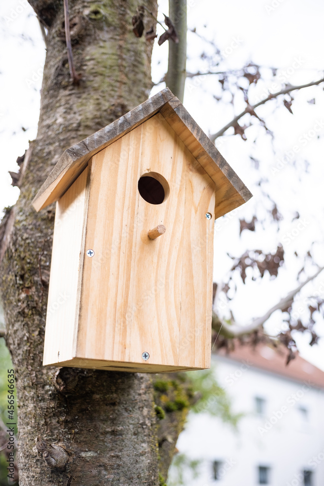 Vogelhäuschen am Baum.