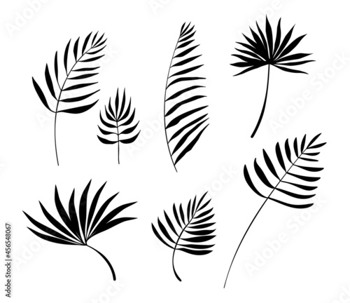 Vector Nature Set of Different Silhouette of Black Palm Leaves Isolated