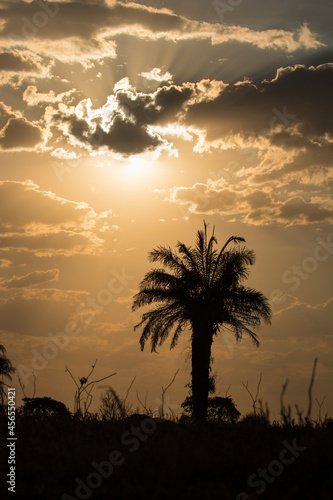 Sunrise  peace and silence at beautiful brazilian savannah